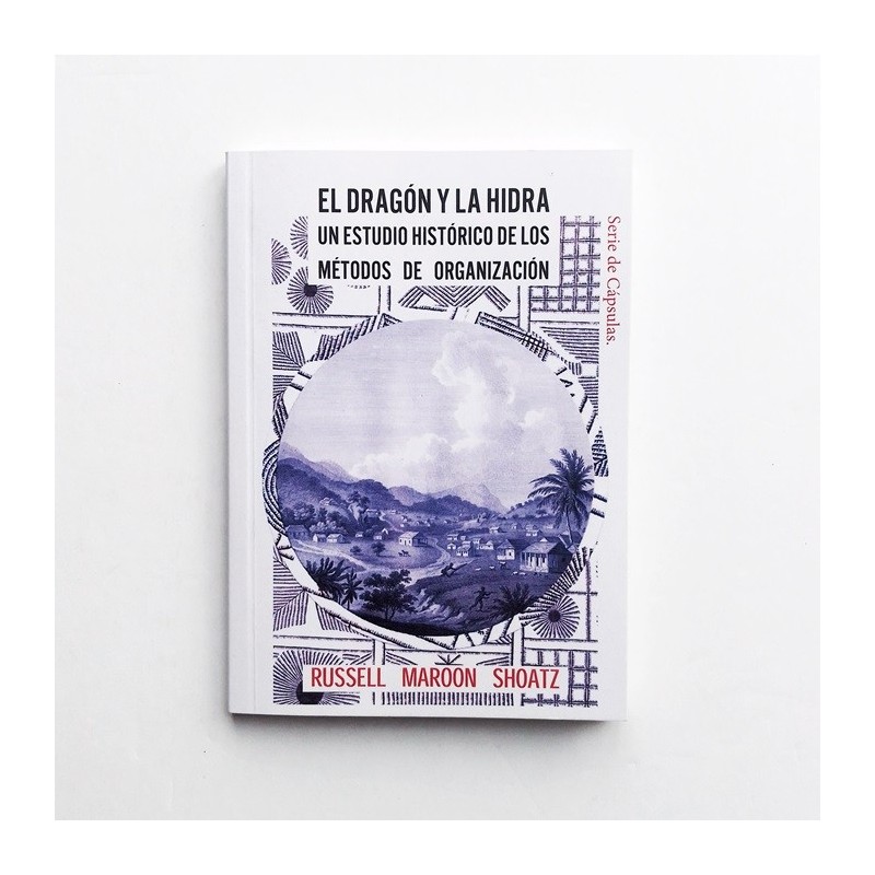 Cápsula Nº5 : El Dragón y la Hidra - Un estudio histórico de los métodos de organización