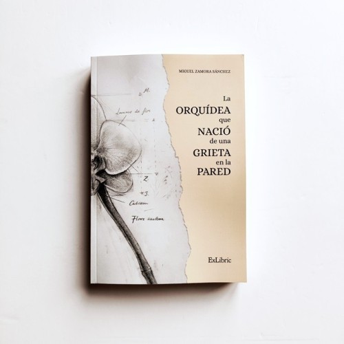 La orquídea que nació en una grieta en la pared - Miguel Zamora Sánchez