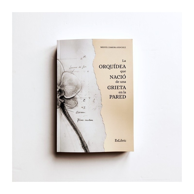 La orquídea que nació en una grieta en la pared - Miguel Zamora Sánchez