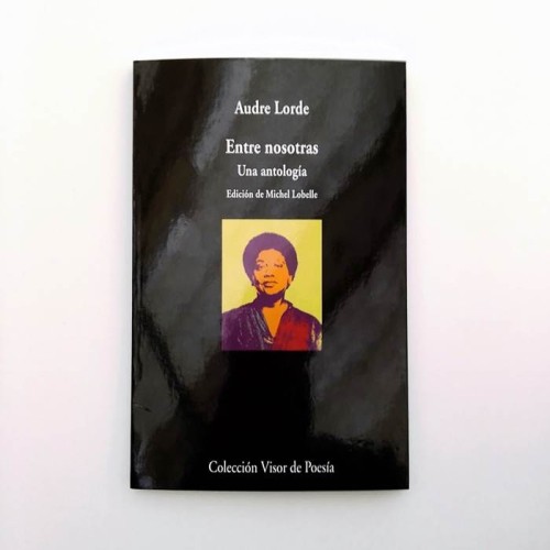 Entre nosotras. Una antología - Audre Lorde