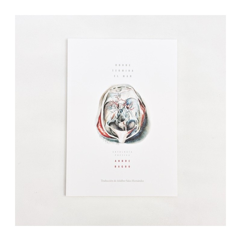 Donde termina el mar - Andre Bagod - The Lab_Oratory x United Minds