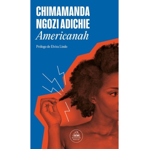 Americanah - Chimamanda Ngozi Adichie