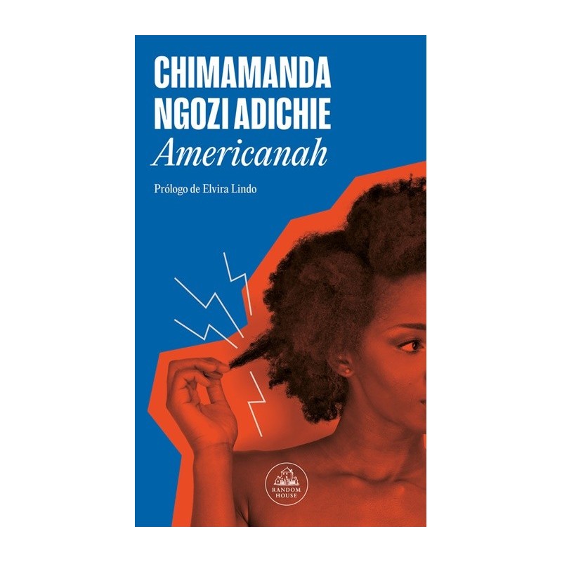 Americanah - Chimamanda Ngozi Adichie