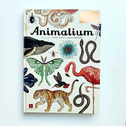 Animalium